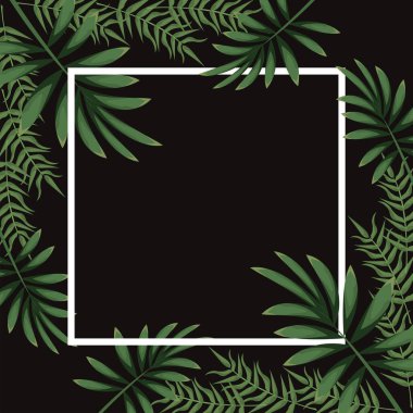Kare çerçevedeki tropikal yapraklar