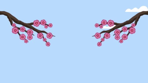 Felice festa di metà autunno animazione con rami di fiori rosa — Video Stock