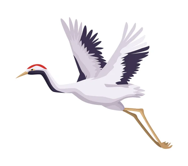 Grue oiseau japonais — Image vectorielle