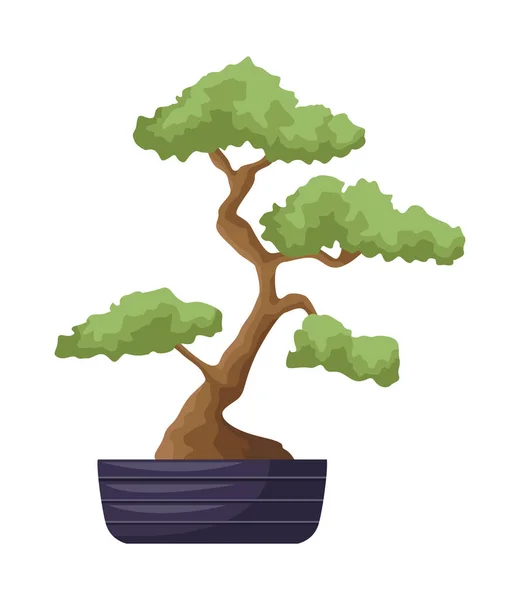 Planta de bonsái japonés — Vector de stock