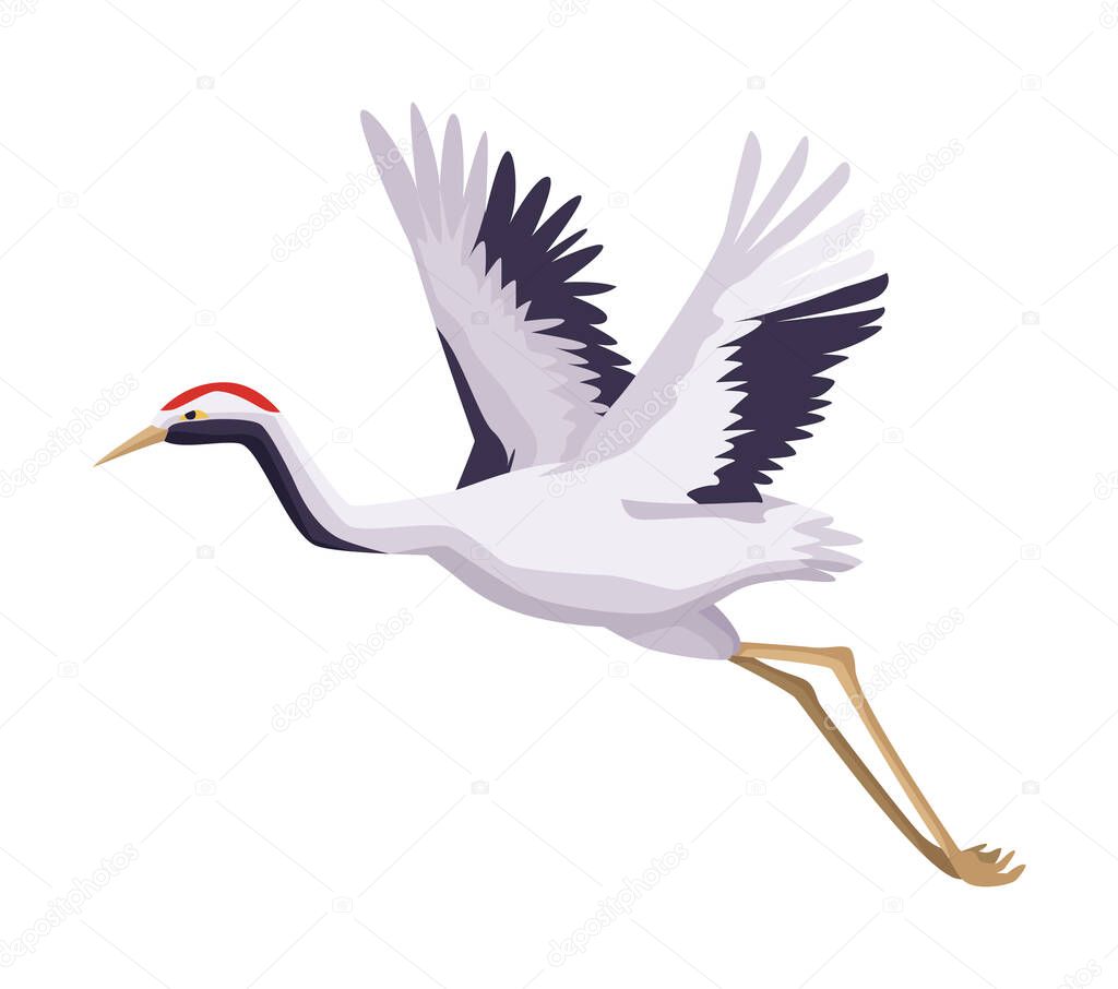 crane japanese bird
