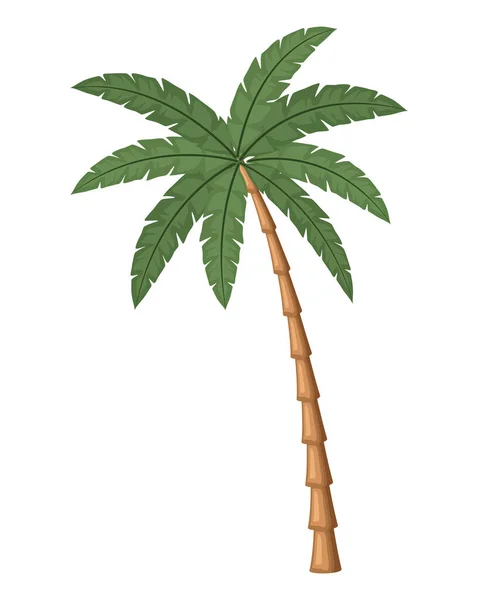 Strand boom palm — Stockvector