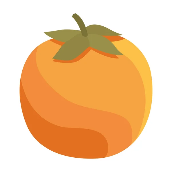Orangen Zitrusfrüchte — Stockvektor