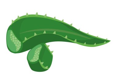 aloe yaprağı simgesi