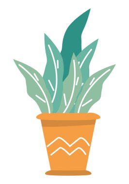 pot güzel houseplant