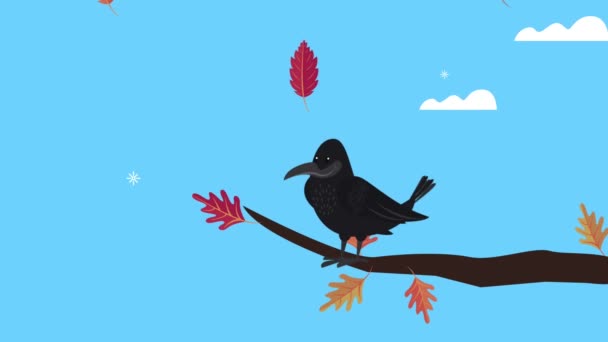 Hello autumn animation with crow in branch — Stock Video