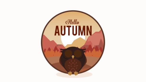 Hello autumn lettering with owl animation — Stock Video