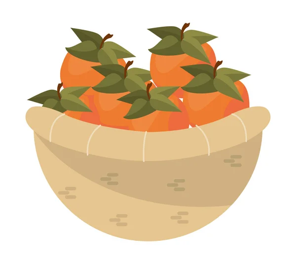 Корзина с апельсинами — стоковый вектор