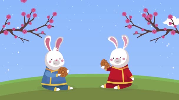 Animation mi-automne avec les lapins couple dans le camp — Video