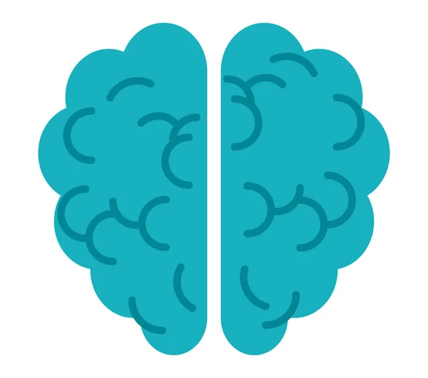 Hjärnans mänskliga organ — Stock vektor