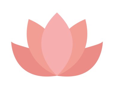 pembe nilüfer çiçeği