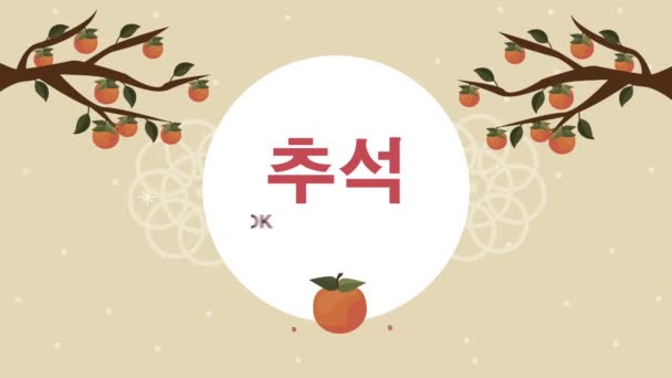 Letras chuseok feliz con árbol de naranjas — Vídeo de stock