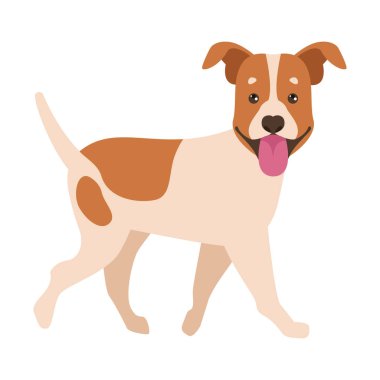 Jack Russel evcil hayvan karakteri