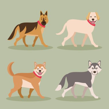 dört köpek maskotu