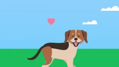 Kampta yüreğiyle yürüyen sevimli bir av köpeği maskotu.