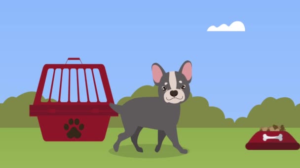 Manzara animasyonunda Fransız bulldog maskotu — Stok video