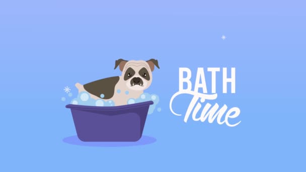 Tempo bagno di cane in animazione vasca da bagno — Video Stock