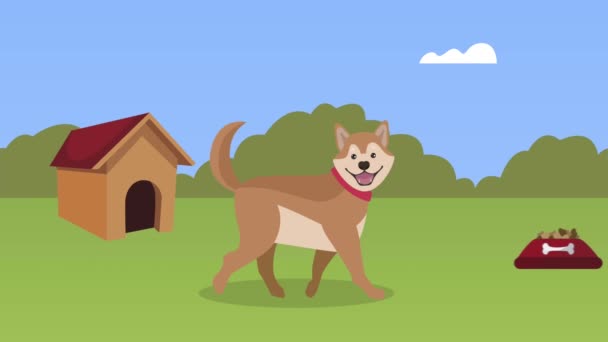 Талисман немецкой овчарки в парке с домашней анимацией — стоковое видео