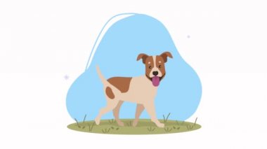 Köpek maskotu Meadow animasyonunda yürüyor