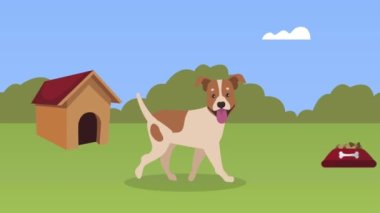 Bahçedeki köpek maskotu