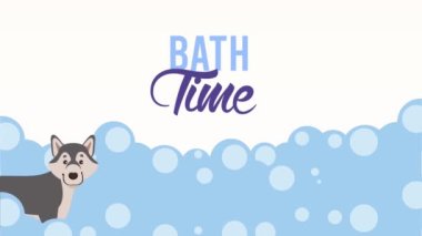 Sibirya köpüklü kurt köpüklü banyo animasyonu.