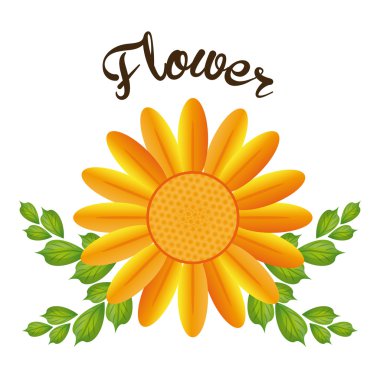 Çiçek Bahçe Tasarım