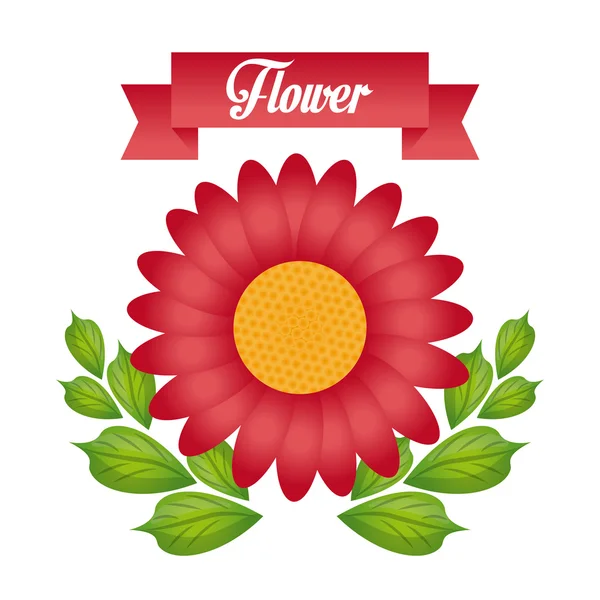 Flower of garden design — Stock Vector