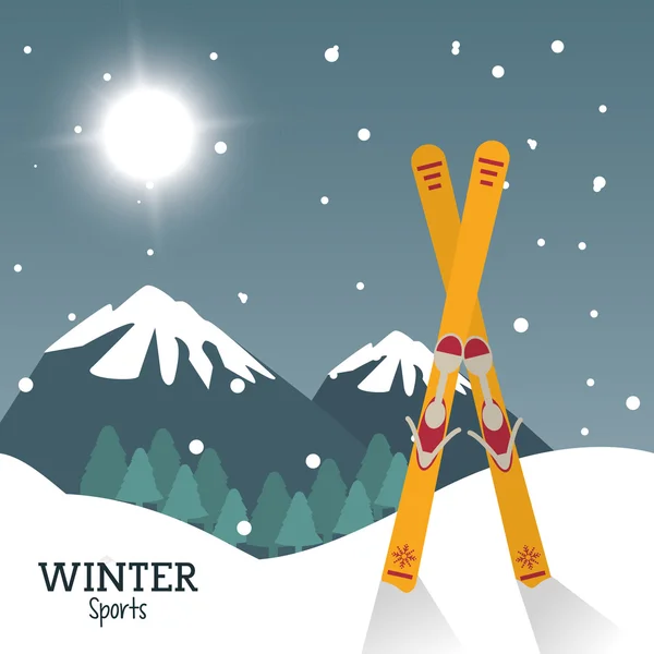 Diseño Winter Sport — Vector de stock