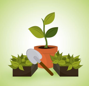 Çevre ve doğal tasarım