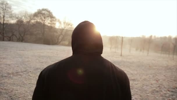 Man lopen in het park. uitzicht vanaf de achterkant. — Stockvideo