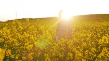 güzel kız çiçek sahada günbatımında yürür.