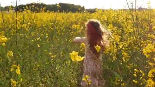 Κορίτσι που τρέχει Σταυρός πεδίο στο ηλιοβασίλεμα. Αργή κίνηση — Αρχείο Βίντεο
