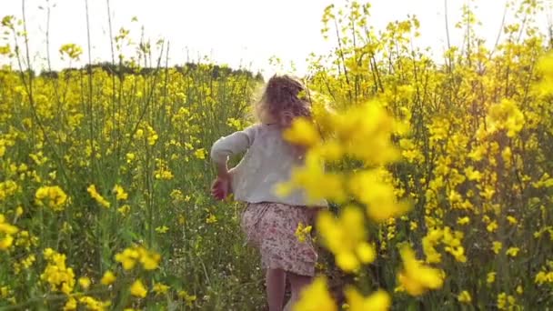 Girl running cross the field at sunset.Slow motion — Stock Video