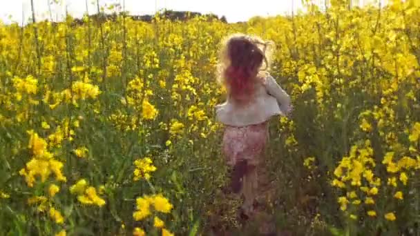 A lány fut a kereszt területén a naplemente. Lassú mozgás — Stock videók
