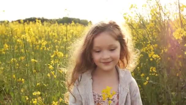 Mädchen zu Fuß über das Feld bei Sonnenuntergang. Zeitlupe — Stockvideo