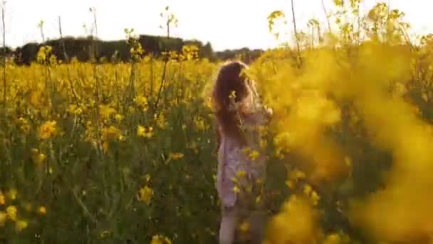 Menina correndo atravessar o campo ao pôr do sol.Lento movimento — Vídeo de Stock