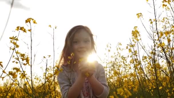 Kleines Mädchen pflückt Blumen und wirft Blütenblätter hoch — Stockvideo