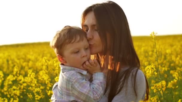 Matka drží svého syna na poli při západu slunce. Pomalé mo — Stock video