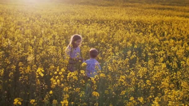 Petite fille et garçon dans un champ au coucher du soleil. Moteur lent — Video