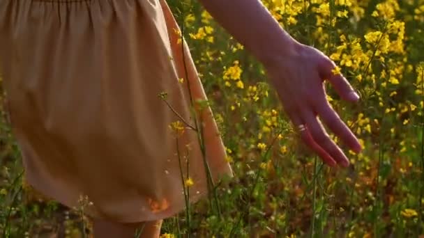 Femmes main touchant fleurs gros plan. Dolly shot — Video