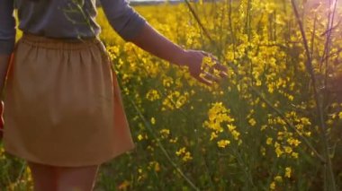 Kadının el çiçek closeup dokunmadan. dolly vurdu
