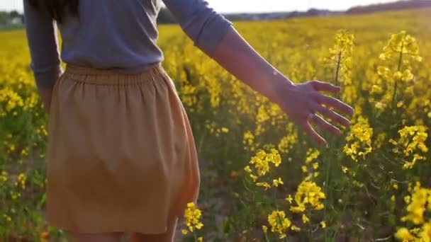 Γυναικείο χέρι αγγίζει closeup λουλούδια. κουκλίτσα πυροβόλησε — Αρχείο Βίντεο