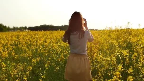Chica camina a través del campo, alisa el cabello lento mo — Vídeo de stock