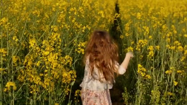 Menina correndo atravessar o campo ao pôr do sol.Lento movimento — Vídeo de Stock