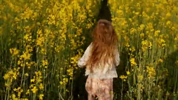 Menina correndo atravessar o campo ao pôr do sol.Lento movimento — Vídeo de Stock