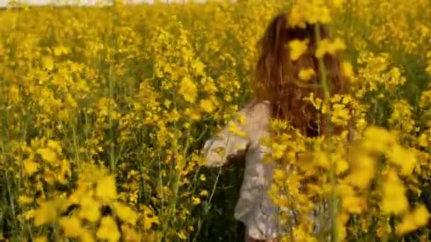 La fille traverse le champ au coucher du soleil. Mouvement lent 