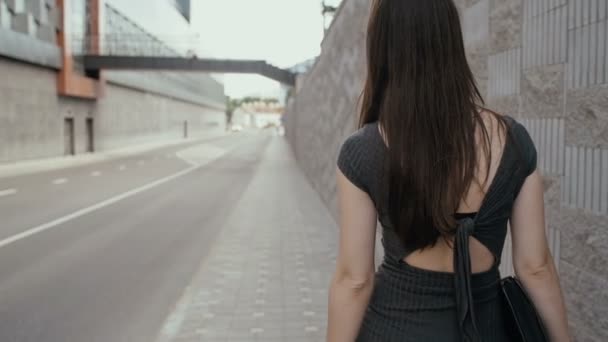 Sexy zakelijke vrouw wandelen op een stoep in het zakelijke centrum van de stad met haar aktetas, Steadicam geschoten. slow mo — Stockvideo