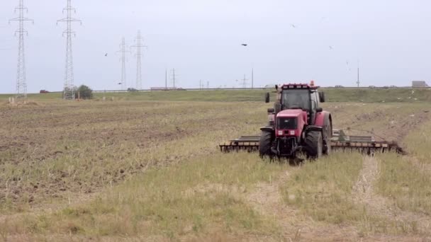 Sebuah traktor pertanian, membajak lapangan untuk menabur, bergerak ke kamera. Burung-burung terbang di sekitar — Stok Video