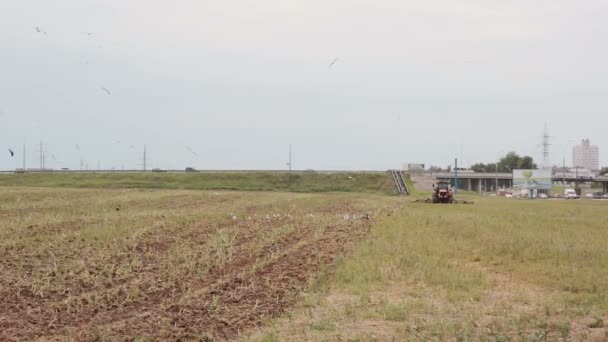A side and back view of an agricultural tractor, plowing a field for sowing, turning right. Farming, crops — Stock Video
