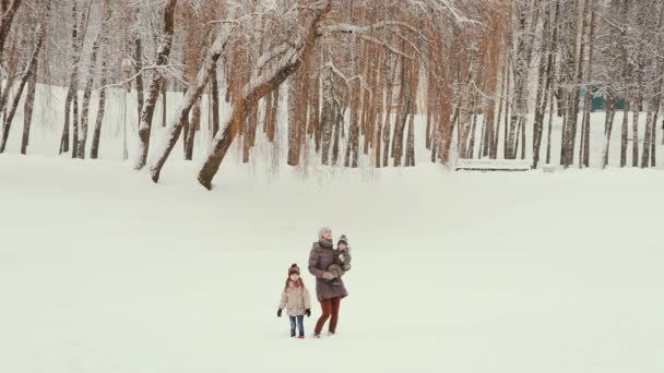 Karlı bir parkta çocuklarıyla duran genç bir anne. — Stok video